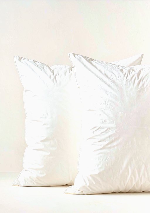 Feather Pillow Insert Pair in Chalk